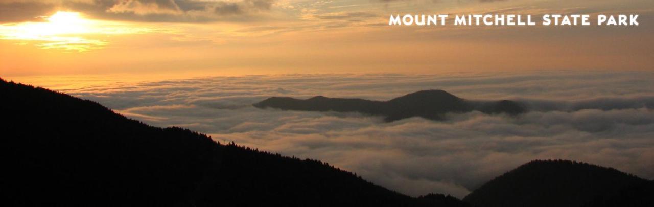 Treetops Cabin Easy To Asheville With Fast Wifi And Great View Swiss Esterno foto