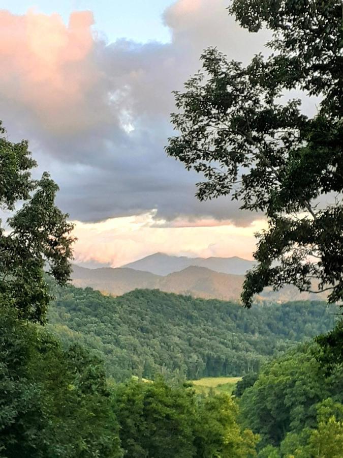 Treetops Cabin Easy To Asheville With Fast Wifi And Great View Swiss Esterno foto